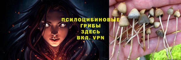 гашиш Медногорск