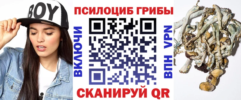 Псилоцибиновые грибы MAGIC MUSHROOMS  Майкоп 
