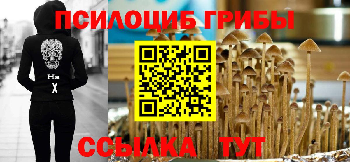 Галлюциногенные грибы Cubensis  Вход с VPN  Майкоп 